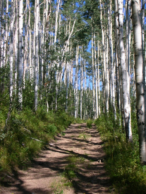 Plan Your 2013 Adventure!