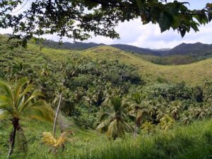 Photo Essay: Dominican Republic’s North Coast