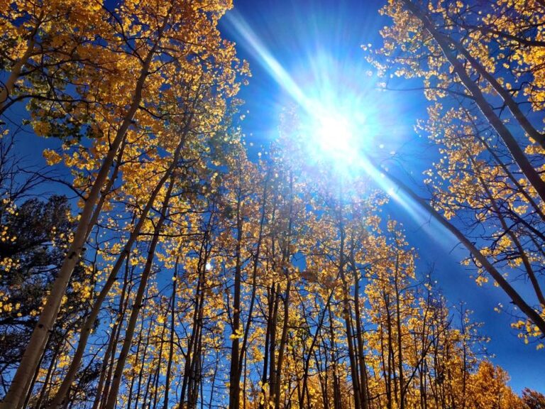 Fall is Upon Us in Colorado…What to do?