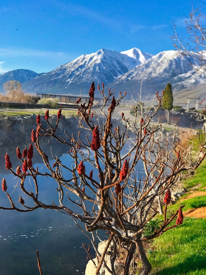 Review: 1862 David Walley’s Resort | Genoa, NV