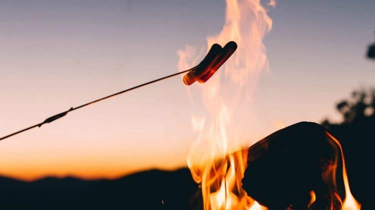 Try One of these great Campfire Recipes (SurvivalLife.com)