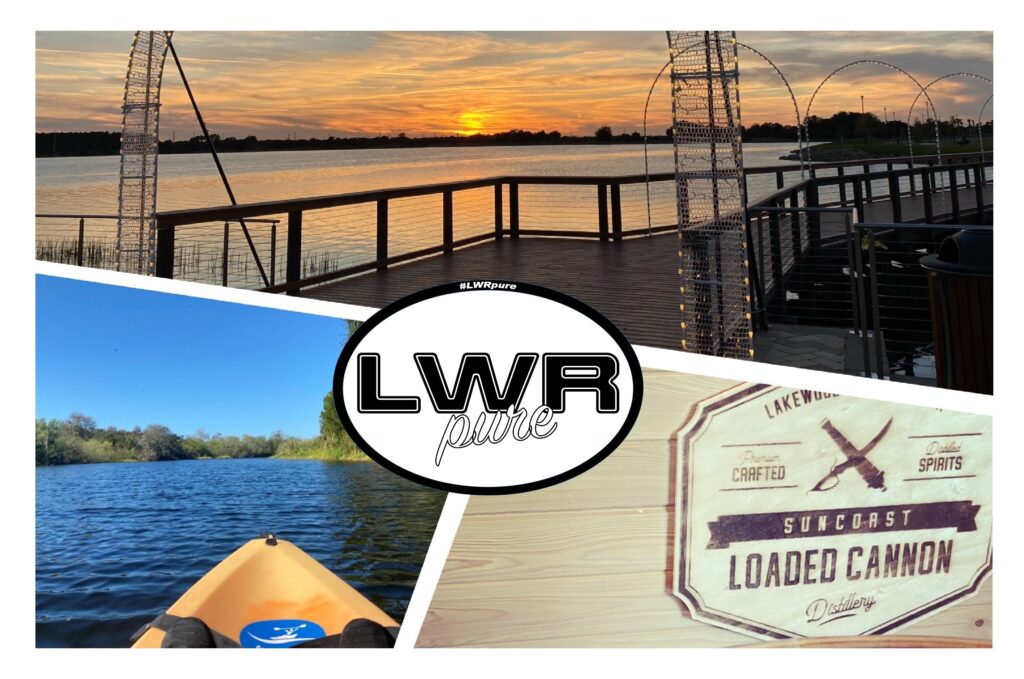 Welcome to LWR pure!